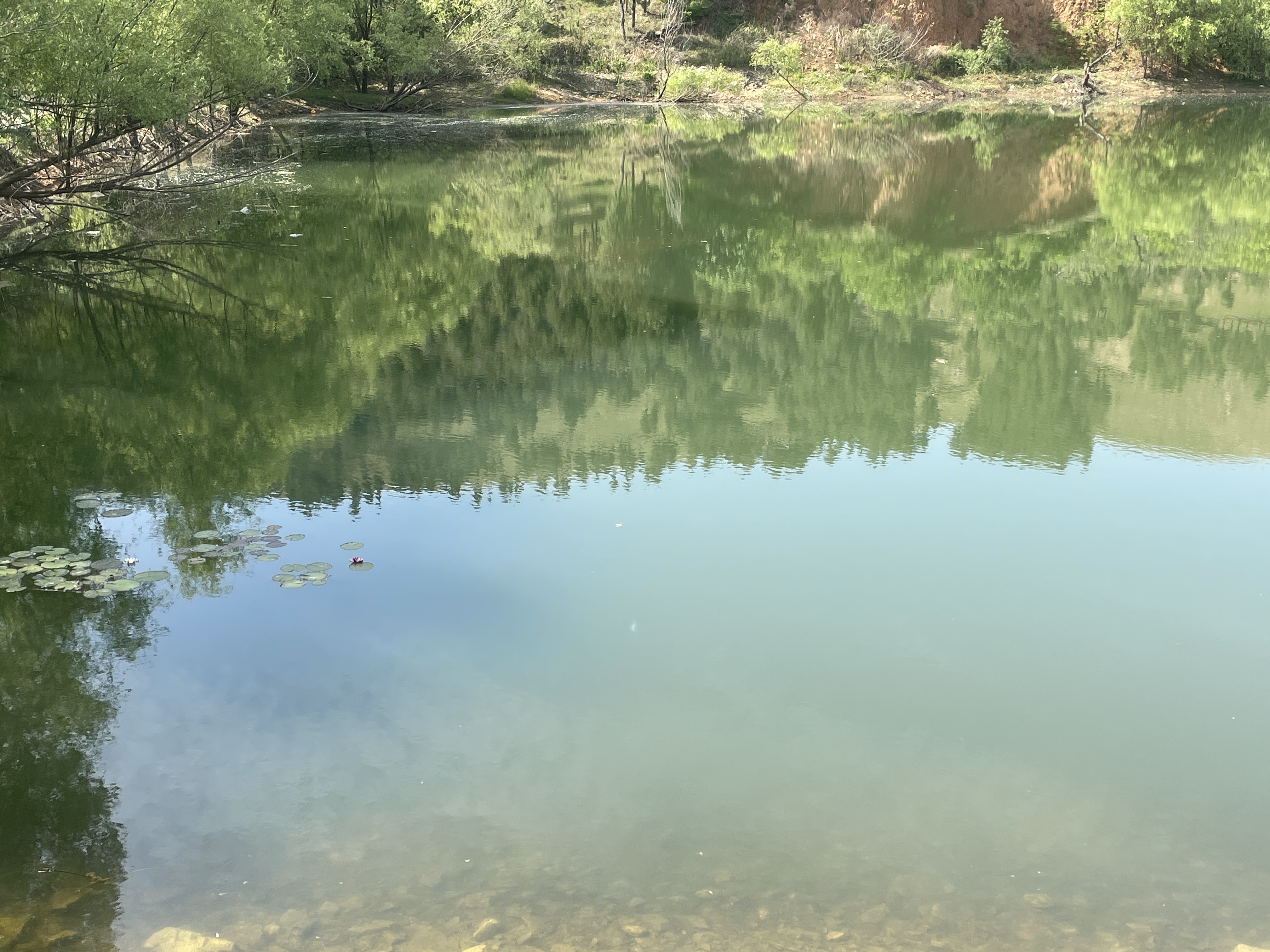 龍城鎮李山水庫帽山水庫