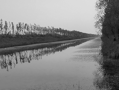 豐縣豐縣歡口鎮歡北大溝