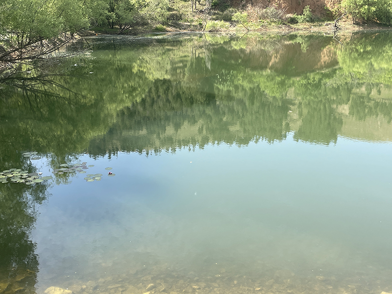 蕭縣龍城鎮帽山水庫