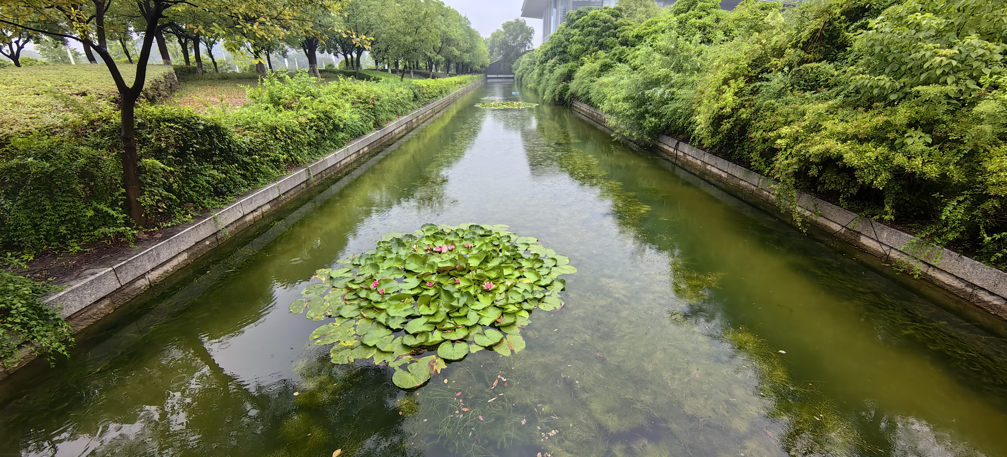 徐州市政府護城河水質維護工程