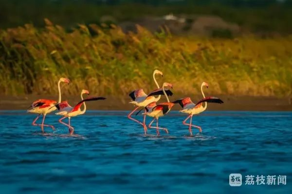 上傳圖片1.png 上傳圖片1.png