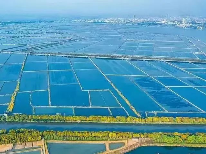 上傳圖片1.png 上傳圖片1.png