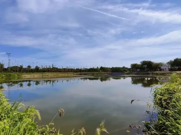 上傳圖片3.png 上傳圖片3.png